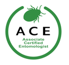ACE — Associate Certified Entomologist
